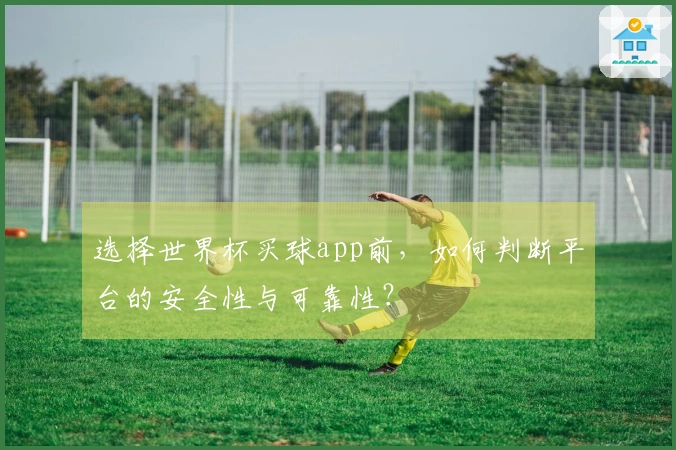 选择世界杯买球app前，如何判断平台的安全性与可靠性？
