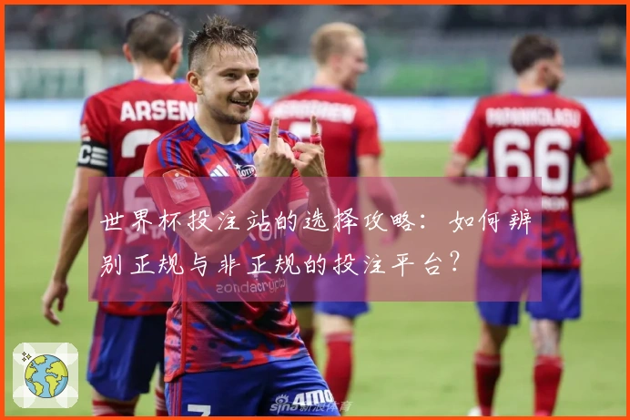 世界杯投注站的选择攻略：如何辨别正规与非正规的投注平台？