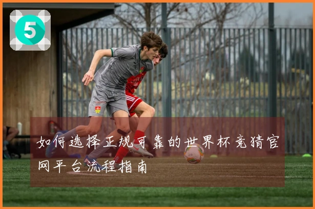 如何选择正规可靠的世界杯竞猜官网平台流程指南