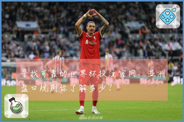 寻找可靠的世界杯投注官网，亚洲盘口规则你了解多少？