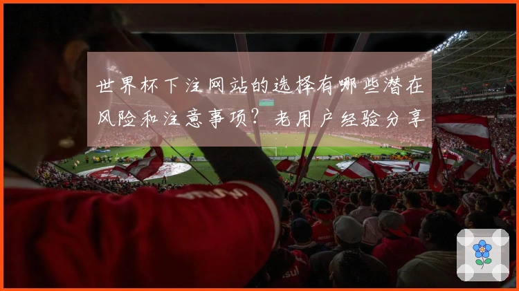 世界杯下注网站的选择有哪些潜在风险和注意事项？老用户经验分享