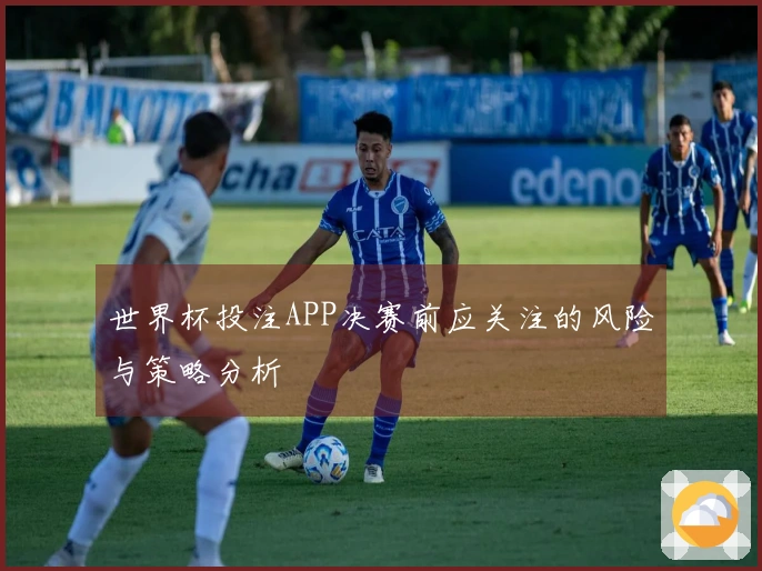 世界杯投注APP决赛前应关注的风险与策略分析