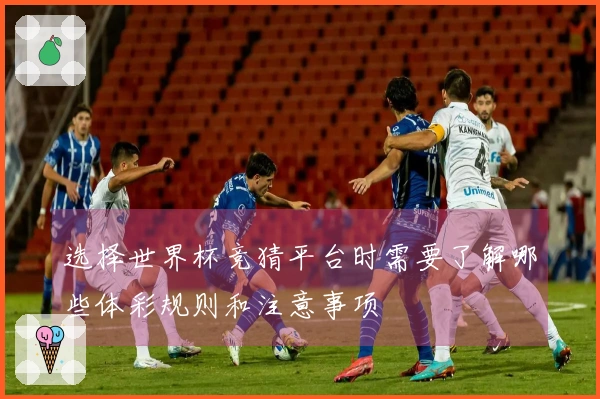 选择世界杯竞猜平台时需要了解哪些体彩规则和注意事项
