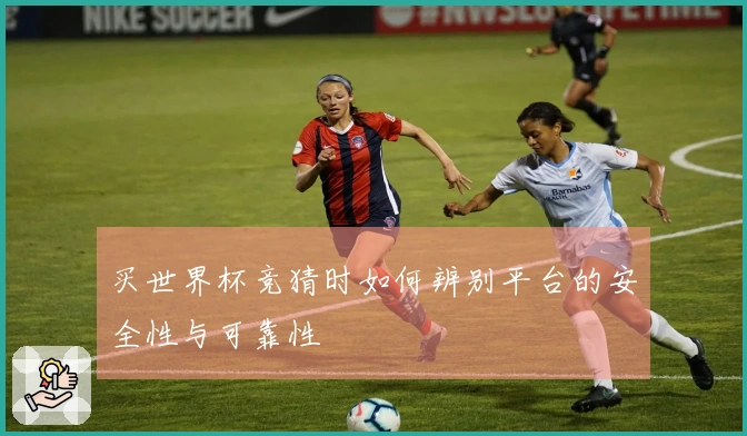 买世界杯竞猜时如何辨别平台的安全性与可靠性