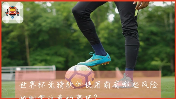 世界杯竞猜软件使用前有哪些风险控制需注意的事项？