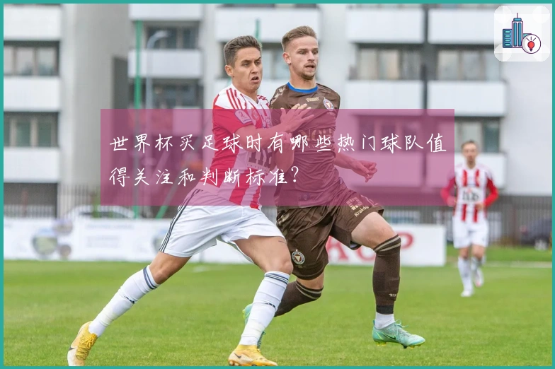 世界杯买足球时有哪些热门球队值得关注和判断标准?
