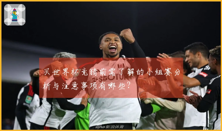 买世界杯竞猜前需了解的小组赛分析与注意事项有哪些?