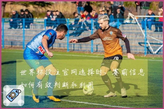 世界杯投注官网选择时，赛前信息如何有效判断和利用