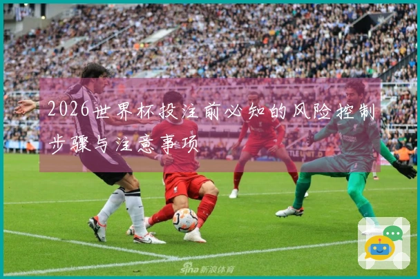 2026世界杯投注前必知的风险控制步骤与注意事项