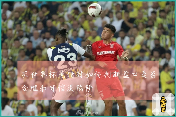 买世界杯竞猜时如何判断盘口是否合理和可信没陷阱