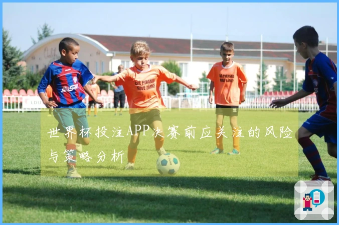 世界杯投注APP决赛前应关注的风险与策略分析