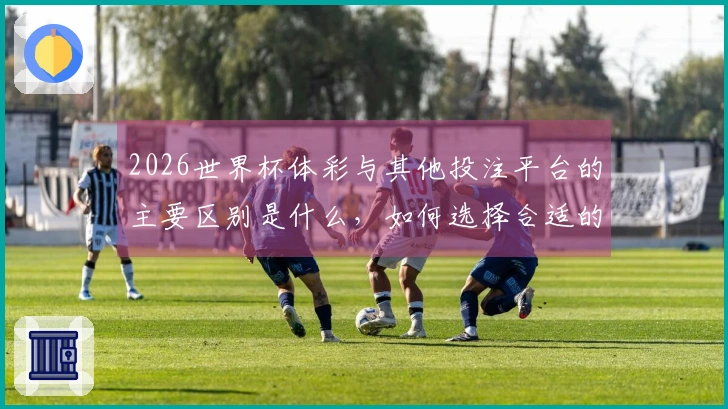 2026世界杯体彩与其他投注平台的主要区别是什么，如何选择合适的投注平台