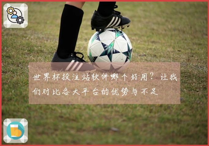 世界杯投注站软件哪个好用？让我们对比各大平台的优势与不足