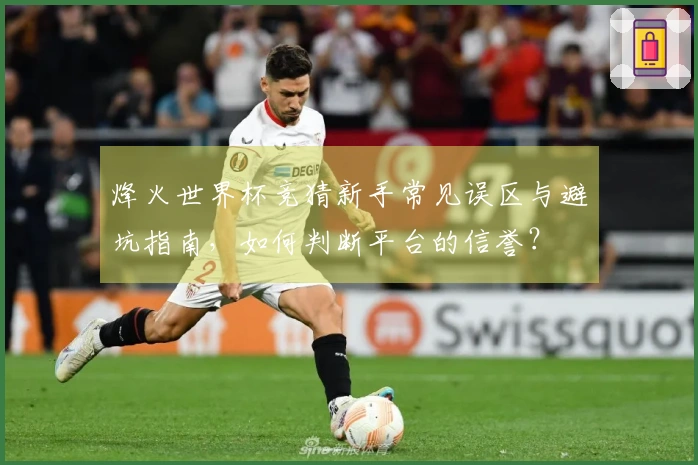 烽火世界杯竞猜新手常见误区与避坑指南，如何判断平台的信誉？
