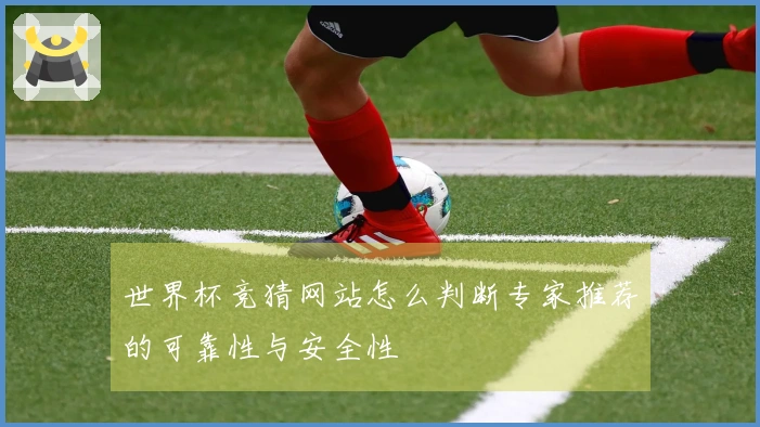 世界杯竞猜网站怎么判断专家推荐的可靠性与安全性