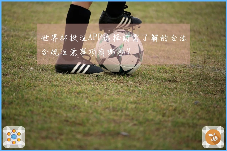 世界杯投注APP选择前需了解的合法合规注意事项有哪些?
