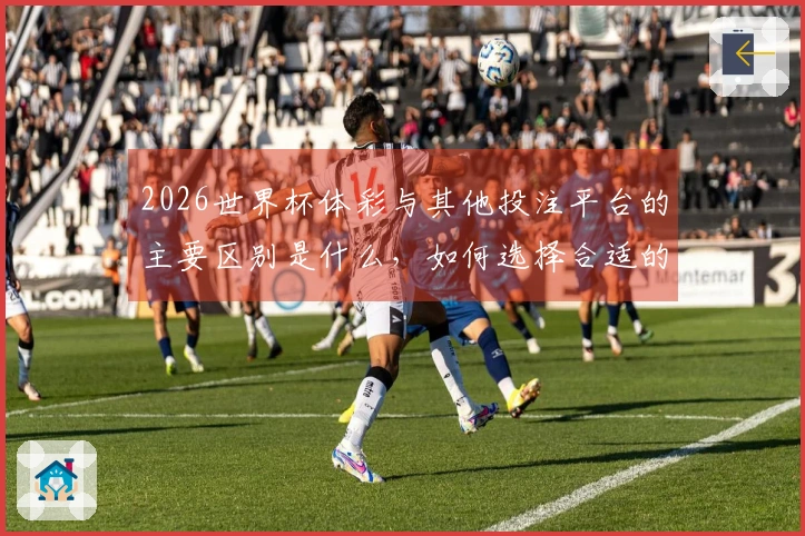 2026世界杯体彩与其他投注平台的主要区别是什么,如何选择合适的投注平台