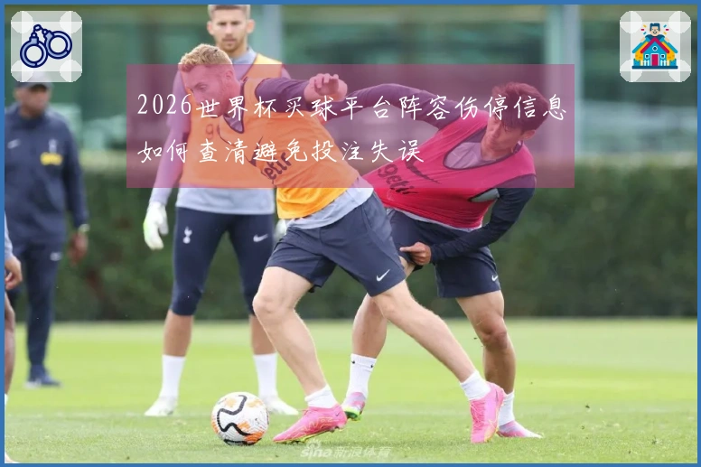 2026世界杯买球平台阵容伤停信息如何查清避免投注失误