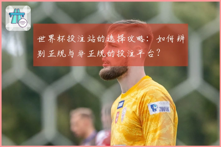 世界杯投注站的选择攻略:如何辨别正规与非正规的投注平台?