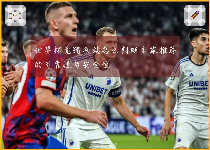 世界杯竞猜网站怎么判断专家推荐的可靠性与安全性