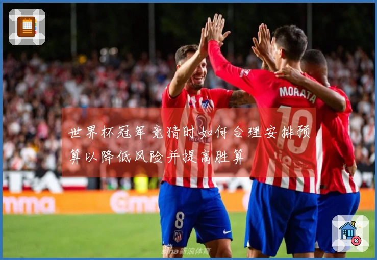世界杯冠军竞猜时如何合理安排预算以降低风险并提高胜算