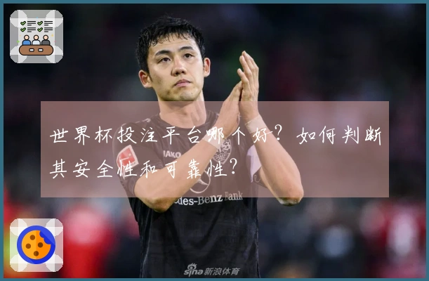 世界杯投注平台哪个好?如何判断其安全性和可靠性?